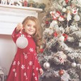 PHOTO SNOW FLAKE BIG SILVER 10x10