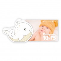 FIBI 10x15 OKVIR