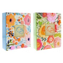 NEW SPRING 10x15/304 /2 ALBUM