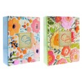 NEW SPRING 10x15/304 /2 ALBUM